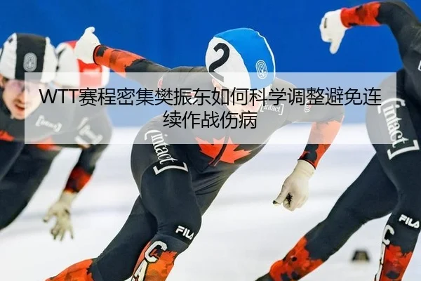 WTT赛程密集樊振东如何科学调整避免连续作战伤病